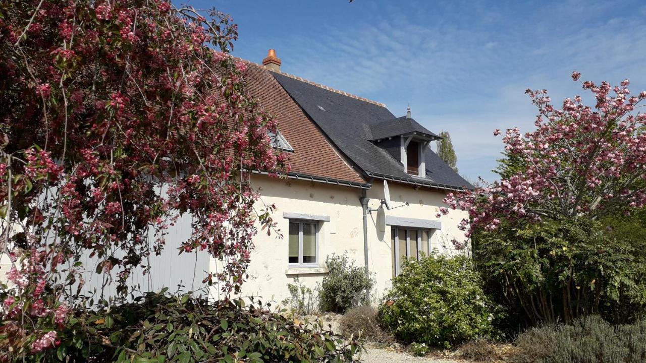 Gite La Fortaiserie Rillé 외부 사진